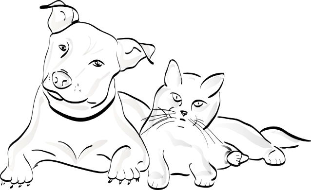 Animal