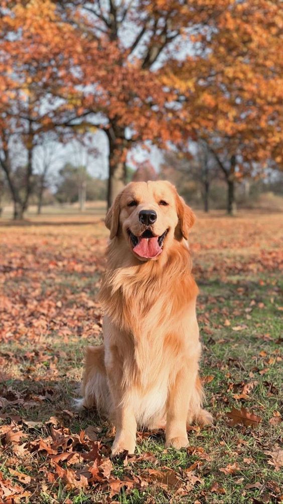 Charlie