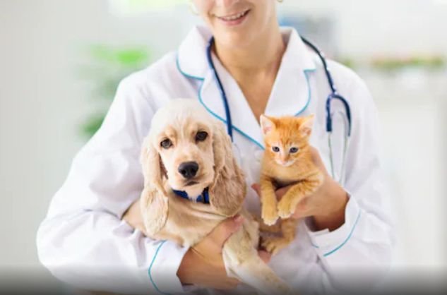 Pet Health